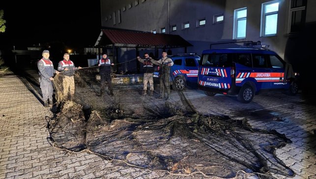 Van'da kaçak avlanan 1 ton inci kefali suya geri bırakıldı