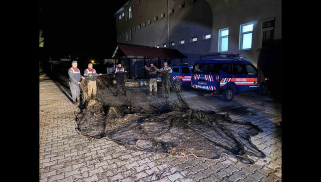 Van'da ele geçirilen 1 ton canlı balık suya bırakıldı