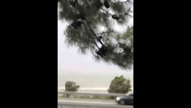 Elazığ'da fırtına etkili oldu