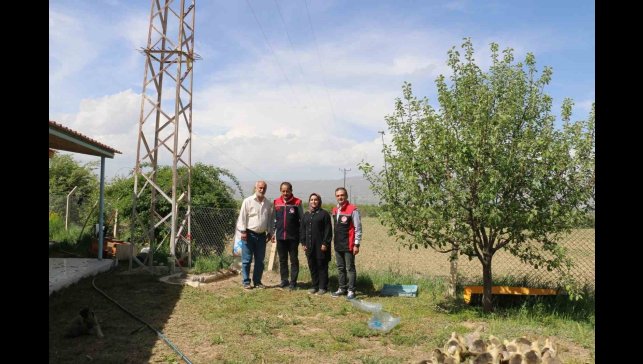 40 binin üzerinde ağaç diken Erzincanlı profesör, kazlarla biyolojik mücadele uyguluyor