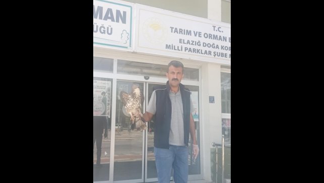 Elazığ'da yaralı şahin tedavi altına alındı