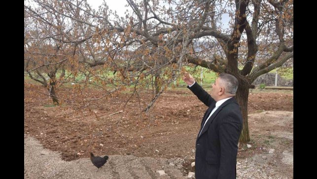 Sadıkoğlu: "Verilecek destekler sadece kayısıyı değil, şehrimizin geleceğini ilgilendiriyor"