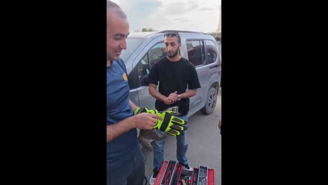 Iğdır'da aracın motor kısmında sıkışan yavru kedi kurtarıldı