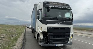 Ağrı'da tırın çarptığı 3 büyükbaş hayvan telef olmaması için kesildi