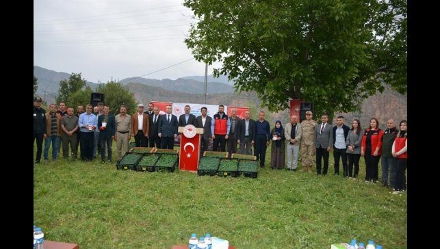 Hakkari'de üreticiye fide desteği