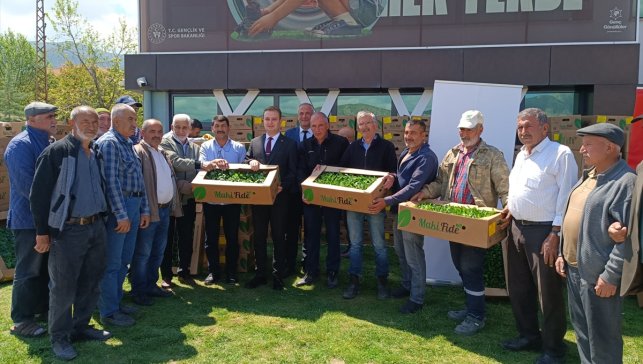 Kale'de çiftçilere sebze fidesi dağıtıldı