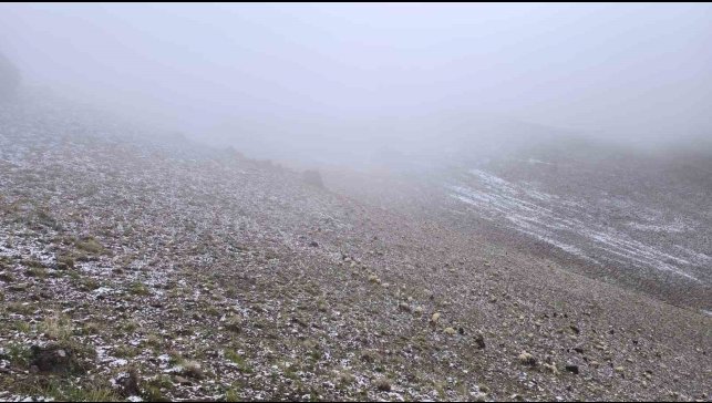Başkale'de yüksek kesimlere kar yağdı