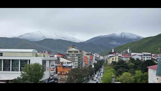 Tatvan'da mayıs ayında kar sürprizi: Nemrut ve yüksek kesimler beyaza büründü