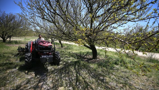 YENİ NESİL ÇİFTÇİLER - Dede mirası çiftçiliği devlet destekleriyle sürdürüyor