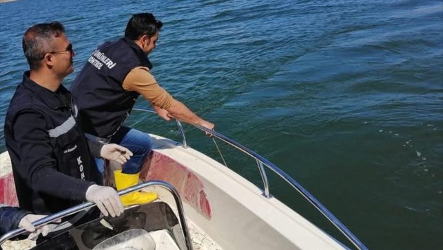 Göl ve sulak alanlarda sazangiller av yasağı başladı