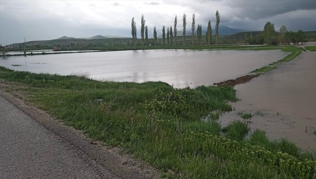 Erzincan'da sağanak sonrası bazı tarım arazileri su altında kaldı
