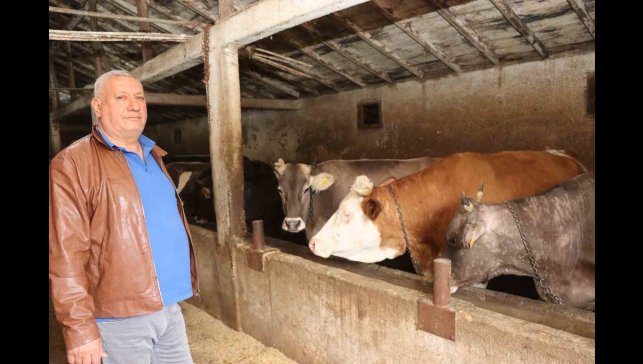 Erzurum'da kurbanlık satışında bekleyiş sürüyor