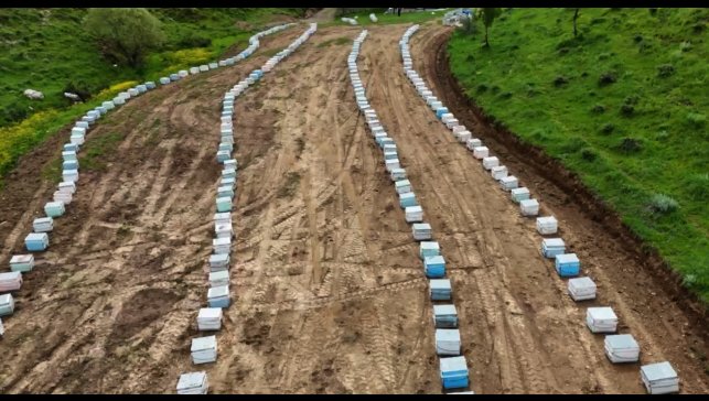 Bitlisli arıcılar yeni sezona hazır