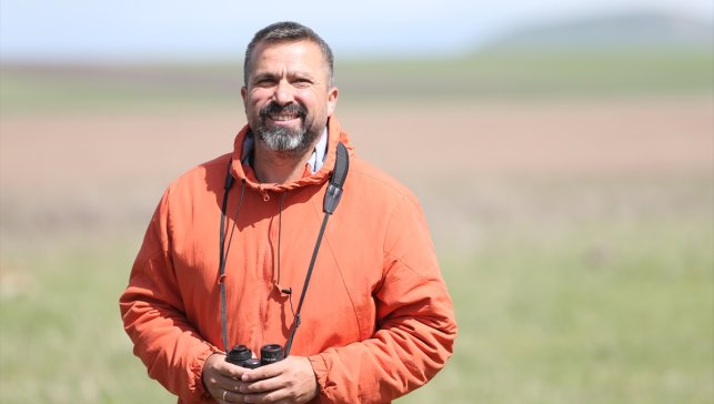 Ardahan'da koruma altındaki dağ horozları, "kur dansı" yaparken görüntülendi