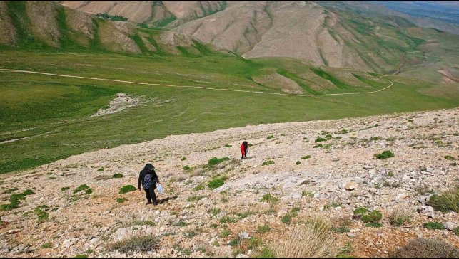 Uzmanlardan heliz otu ve mantar zehirlenmesi uyarısı