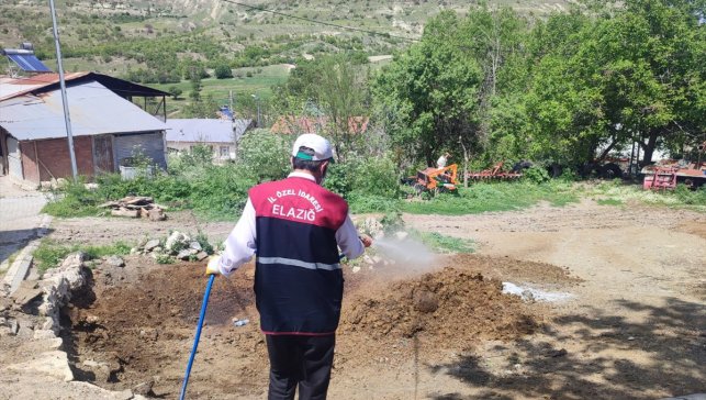 Ağın'da köylerde sinek ve haşerelere karşı ilaçlama çalışması