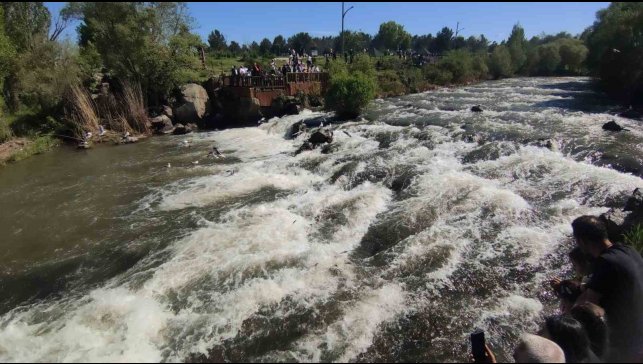 Uçan balıkların muhteşem görsel şöleni başladı