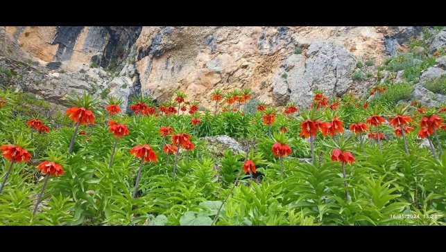 Yetkililer uyarıyor: Bu türe zarar vermenin cezası çok ağır