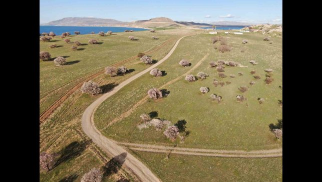 Doğaseverlerin yeni rotası Çarpanak yarımadası