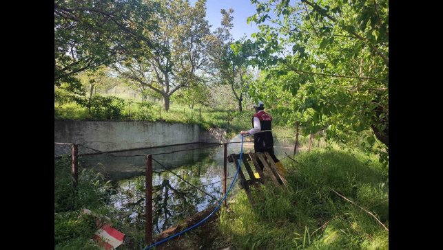 Elazığ'da larva ile mücadele çalışmaları sürüyor