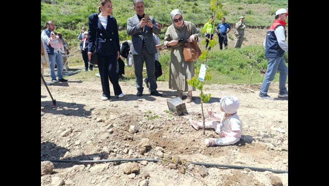 Yeni doğan bebekler hatıra ormanına ilk fidanlar dikildi