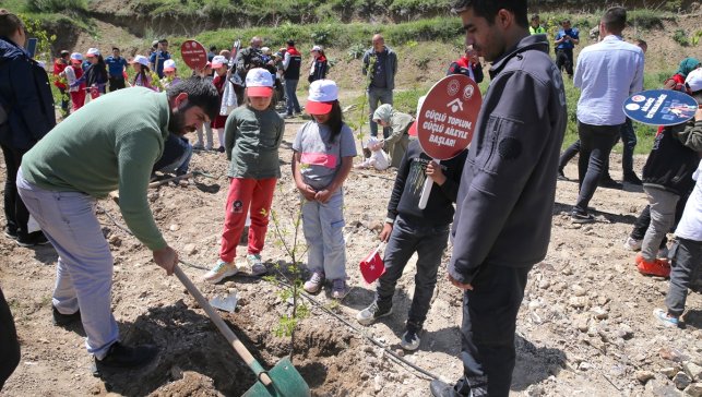 Erzurum'da yeni doğan bebekler için hatıra ormanı oluşturuldu