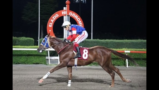 Elazığ'da Jandarma koşusunda zafer 'Ağa'nın