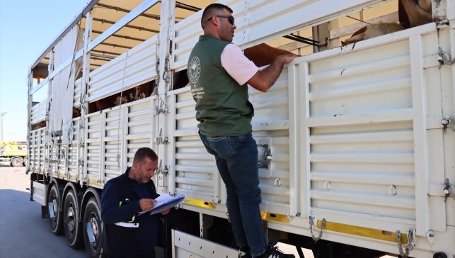 Erzincan'da batıya sevk edilen kurbanlıkların denetimi sürüyor