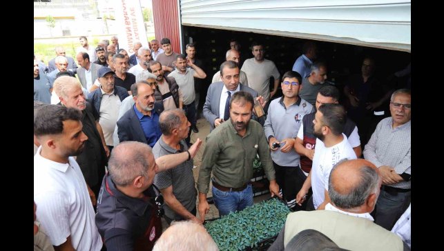 Bingöl'de üreticilere 442 bin sebze fidesi dağıtıldı