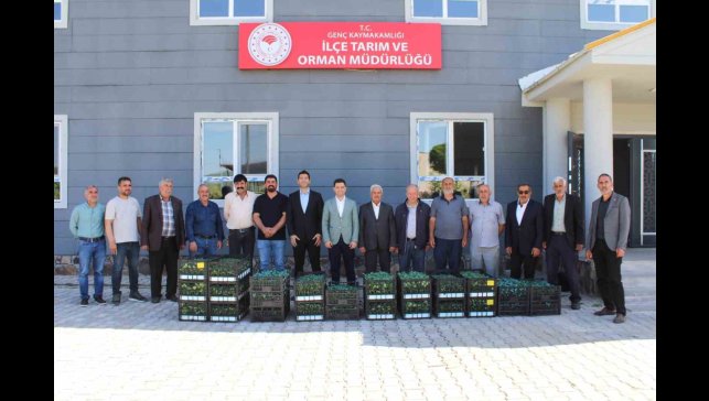Genç'te üreticilere sebze fidesi dağıtıldı