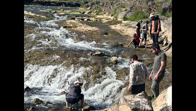 İnci kefalinin göçü yerli ve yabancı turistlerin ilgi odağı oldu