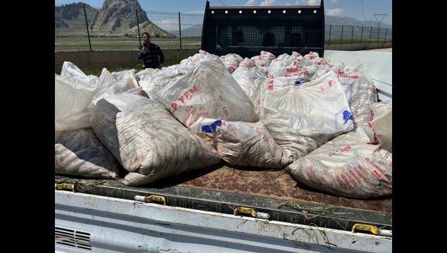 Ağrı'da 2 ton kaçak inci kefali ele geçirildi