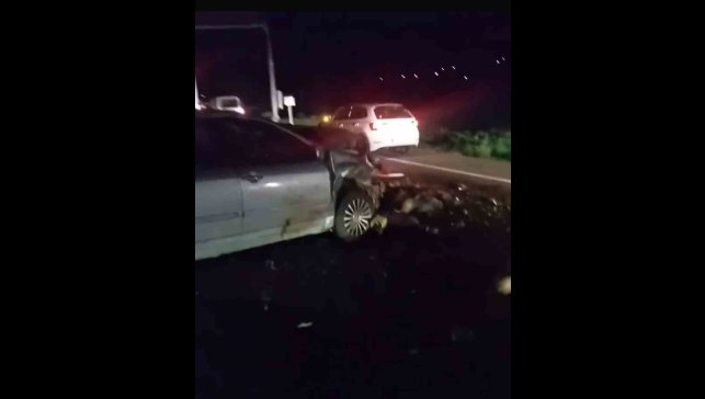 Iğdır'da otomobil hayvan sürüsüne çarptı: 25 koyun telef oldu