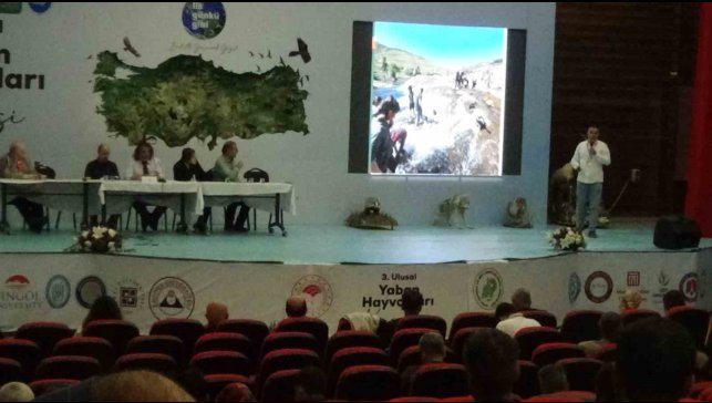 Van Gölü'nün oluşumu ve inci kefalinin mücadelesi