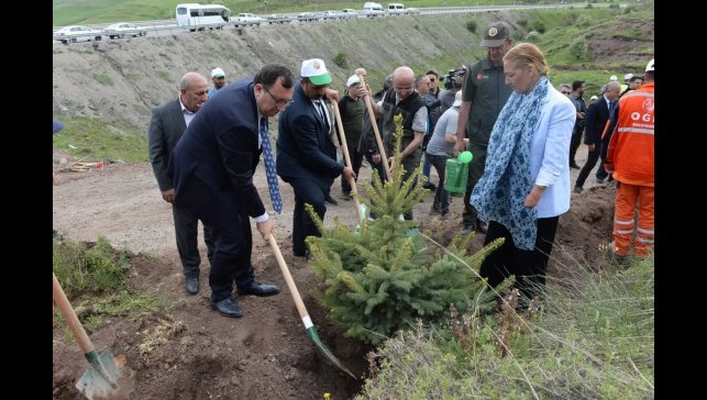 TBMM'nin 105. yılı anısına 105 bin fidan toprakla buluştu