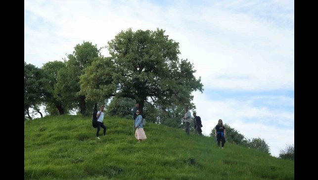 Muş'un 110 bin ahlat ağacı görsel şölen sunuyor
