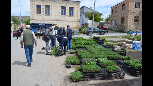 Fideleri bahçesine ekenler kendi yetiştirip kendi yiyor