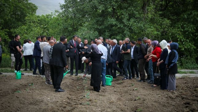 Hakkari'de çiftçilere sertifikalı sebze fidesi dağıtıldı