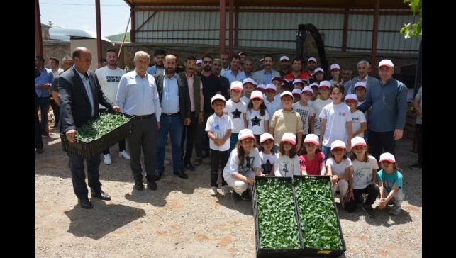 Güroymak'ta fide ve tohum dağıtımı yapıldı