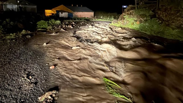 Ardahan'da sel 2 köyde hasara yol açtı