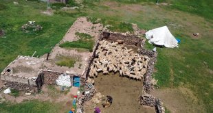 Göçerlerin Tendürek Dağı eteklerinde zorlu hayvancılık mesaisi başladı