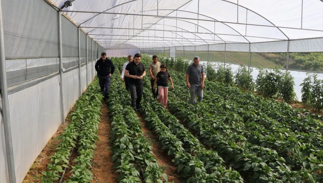 Keban Kaymakamı Atalık, serada üretim yapan çiftçileri ziyaret etti