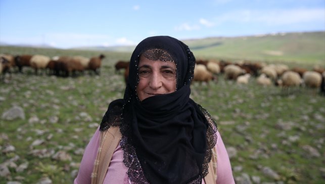 Annenin hayvancılık girişimi İstanbul'da tekstilde çalışan kızına köyün yolunu açtı