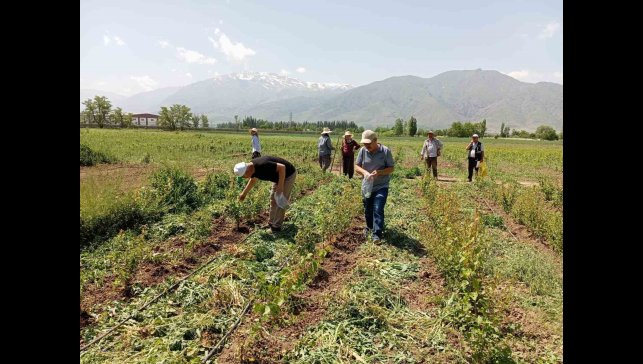 Sahada survey çalışması yapılıyor