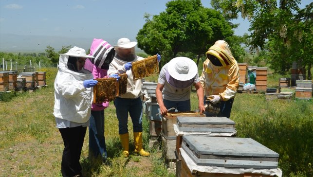 Muş'ta üniversite öğrencileri uygulamalı arıcılık eğitimi aldı