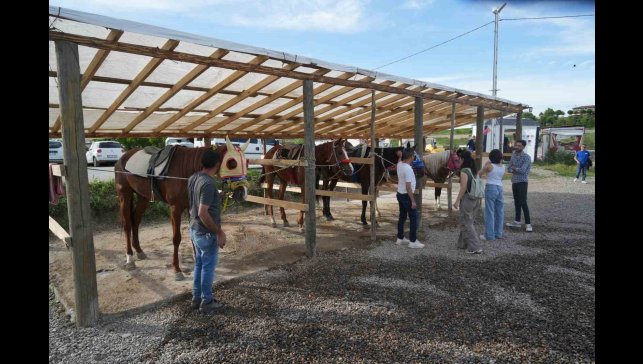 Muş'ta atlı binicilik kulübü, ata sporunu gelecek nesillere aktarıyor