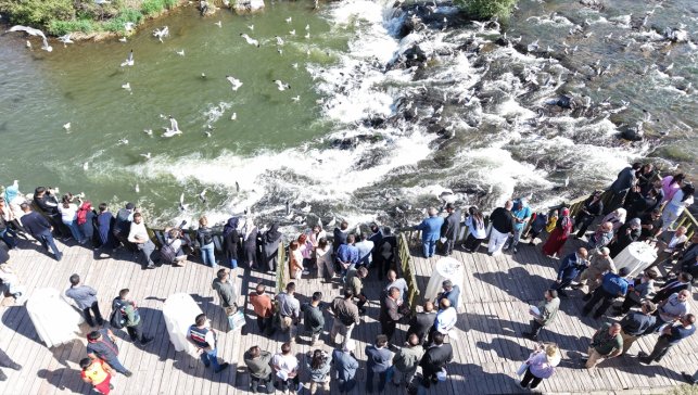 Van'da "12. Uluslararası İnci Kefali Göçü Kültür ve Sanat Festivali" başladı