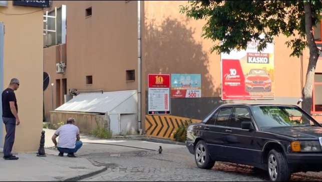 Erzincan'da yavru kargayı vatandaşlar kurtardı