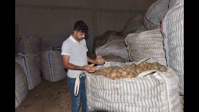 Ahlat'ta binlerce ton patates alıcı bekliyor