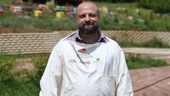 Üreme döneminde Anadolu'ya gelen arı kuşları kolonilere zarar veriyor